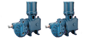 Neptune,Chemical,Pump,Company,Inc,Metering,Pumps,Feed,Systems